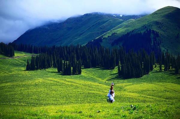 分享圖片——新疆那拉提草原