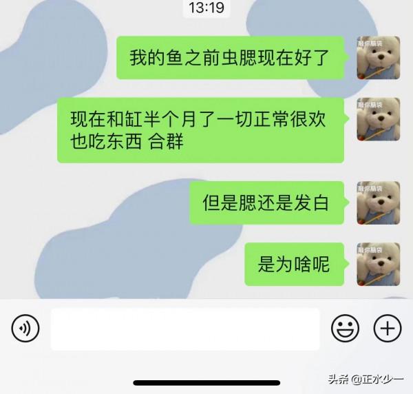 關於觀賞魚魚鰓病治好後的一些現象,你都知道嗎? 關於觀賞魚魚鰓病治好後的一些現象,你都知道嗎?
