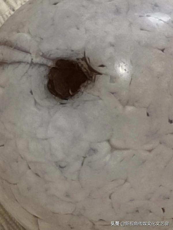 老瑪瑙珠子 老瑪瑙珠子