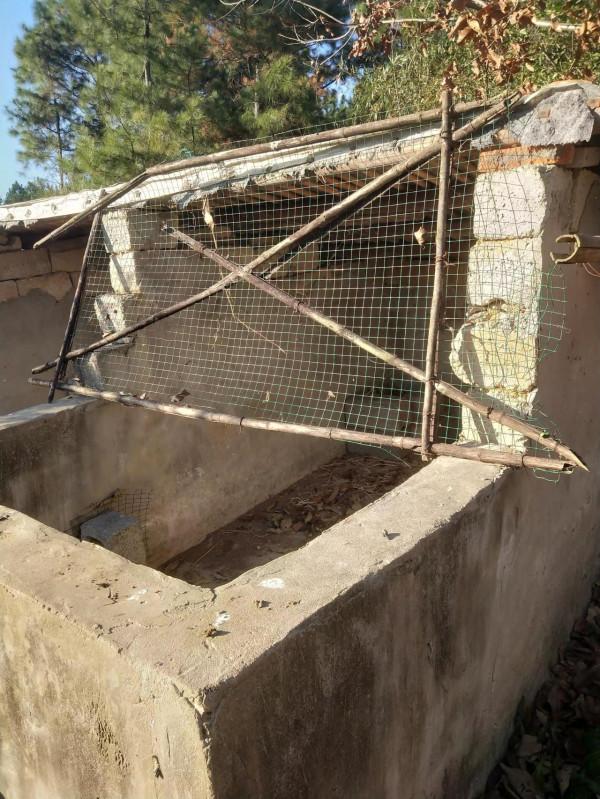 老鷹和喜鵲，嘴下留情