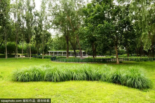 免費！毗鄰玉淵潭，這個公園人少景美，據說還能治“頸椎病”！