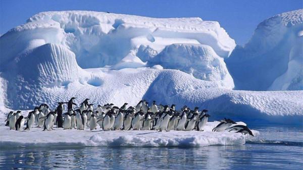 美國成立奧庫斯聯盟的隱藏目的——拿下南極洲，重塑地球格局