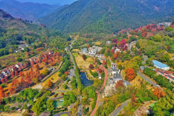 踢火了“上山下鄉”潮流