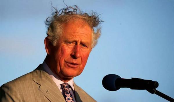 女王承諾永不退位,73歲查爾斯與卡米拉心碎,成就了戴安娜單親子 女王承諾永不退位,73歲查爾斯與卡米拉心碎,成就了戴安娜單親子