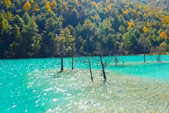 煙波浩渺李白湖,淳樸明澈杜甫湖——請你給山中玉湖起個雅名 煙波浩渺李白湖,淳樸明澈杜甫湖——請你給山中玉湖起個雅名