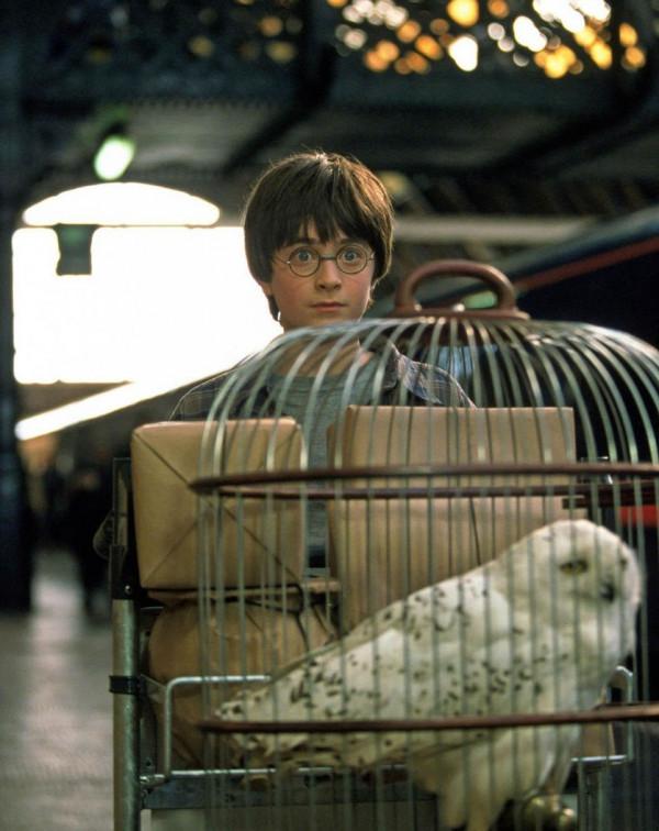 《哈利波特》21年後演員現狀：女主變“老”，男主長殘，配角逆襲