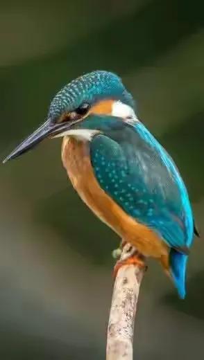 社會怪現象續（一），看完之後你感覺概括得怎麼樣？