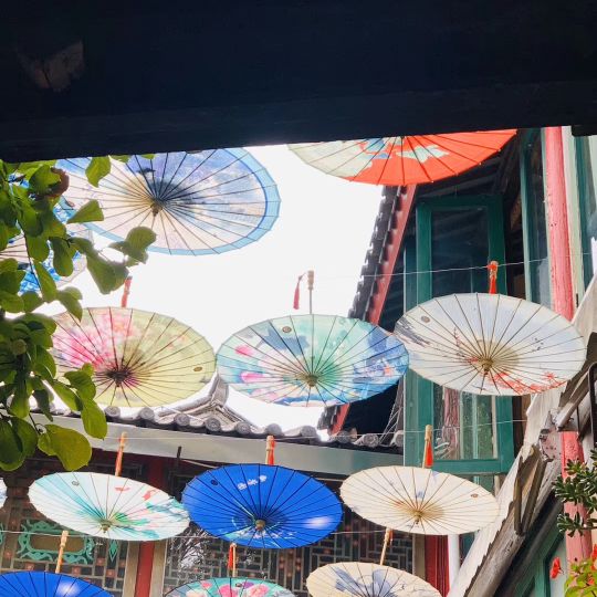 彩雲之南的“春城”美景