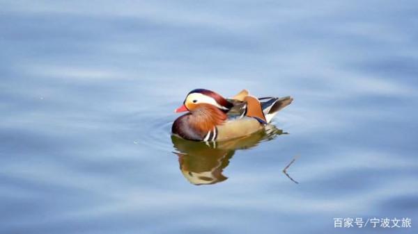 江北~隱藏著你嚮往的詩和遠方... 江北~隱藏著你嚮往的詩和遠方...