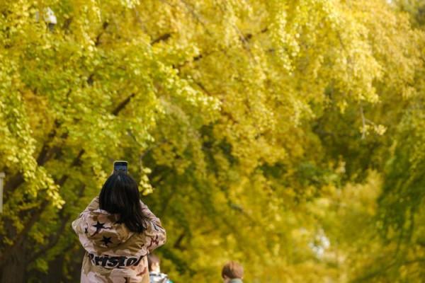 最愛北京，金秋如畫