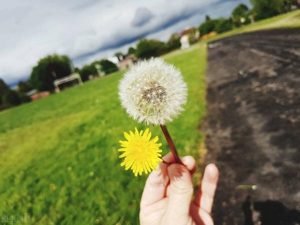 看完這5個故事,讓你茅塞頓開 看完這5個故事,讓你茅塞頓開