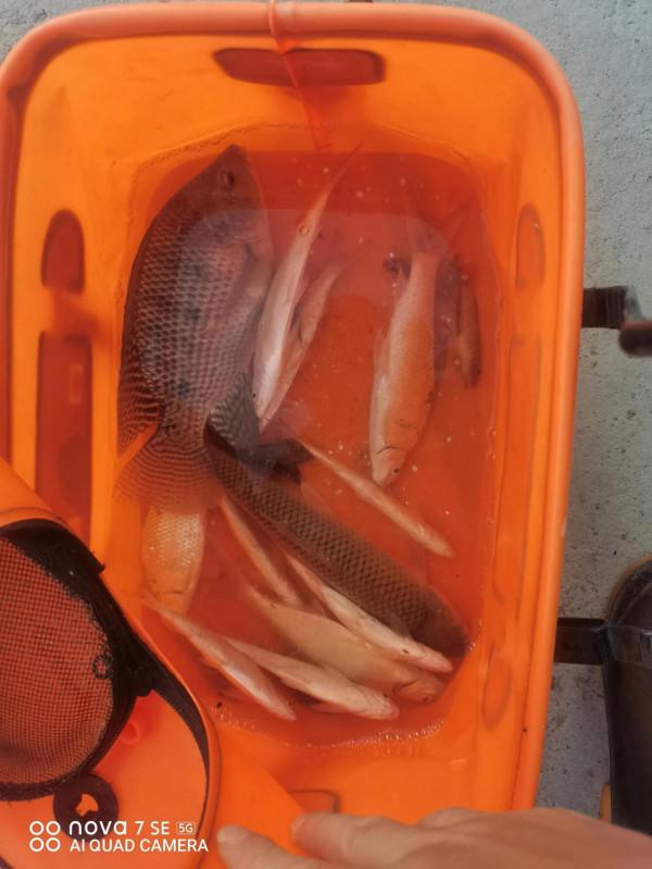 星期天,釣了一個寂寞 星期天,釣了一個寂寞