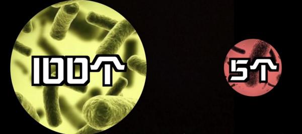 超級細菌到底有多可怕,人類與細菌的軍備競賽 超級細菌到底有多可怕,人類與細菌的軍備競賽