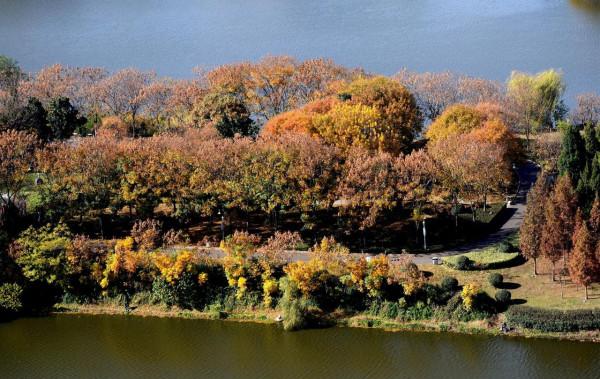 小雪日是誰打翻了大自然的調色盤讓張公湖初冬如此動人