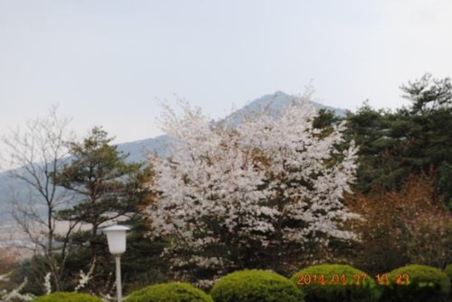 那年，公司將我從非洲安哥拉調到了朝鮮 （11、我在朝鮮住的地方）