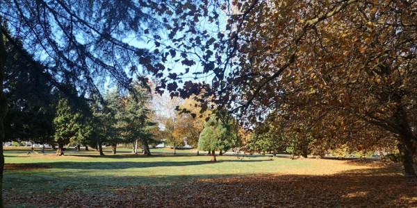 帶你遊溫哥華的小眾景點