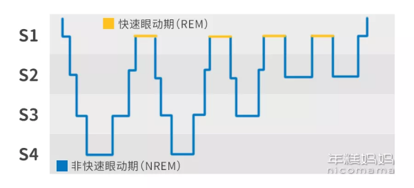 娃晚上9點還不睡，會影響長高嗎？開學建議這樣調整作息