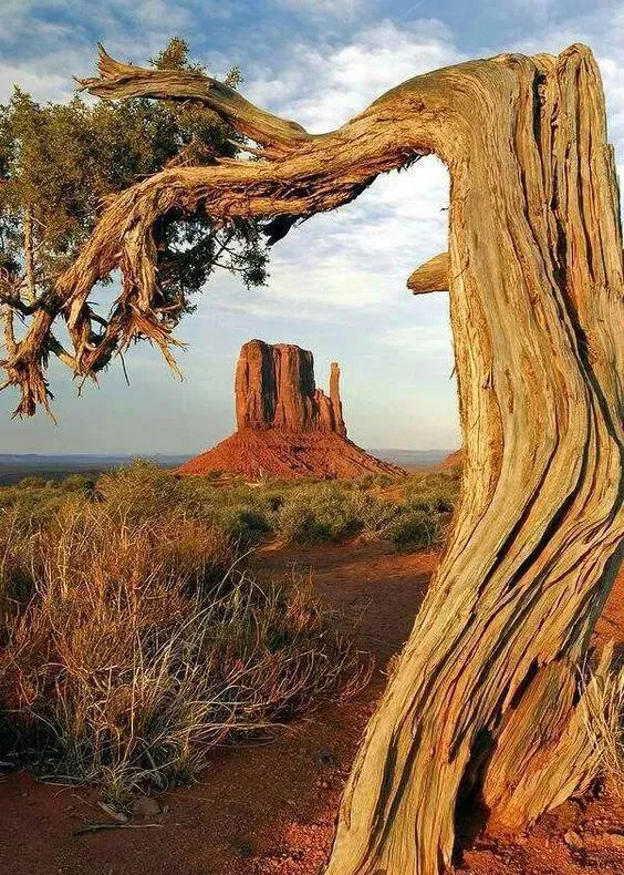 分享——絕美的自然奇觀