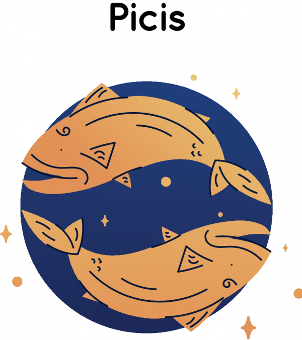 (星座周運)美國——蒂塔·安1月10日-1月16日