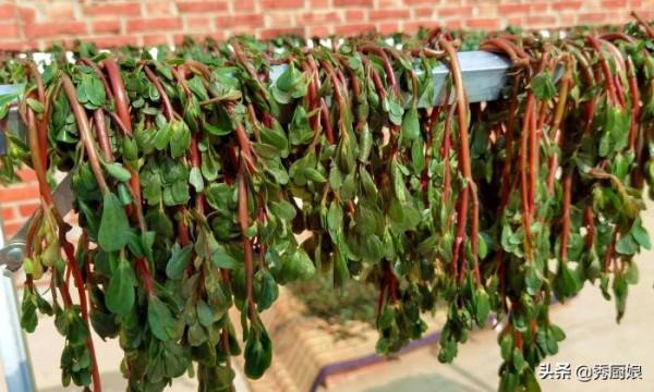 這5種廉價蔬菜,曬乾比新鮮的好吃太多,炒菜燉肉都香,放1年不壞 這5種廉價蔬菜,曬乾比新鮮的好吃太多,炒菜燉肉都香,放1年不壞