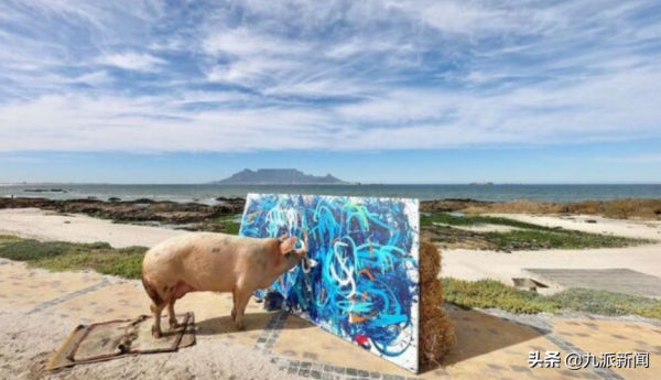 一頭名為豬加索的豬畫了一幅油畫 德國買家花近17萬人民幣買下