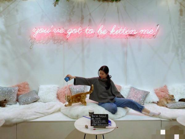 劉亦菲非常喜歡小動物，經常會有小動物在身邊