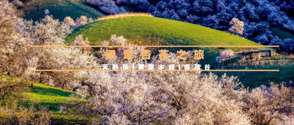 2022全年53條自駕路線上線，每一條都美哭了！你想要的，我們都有