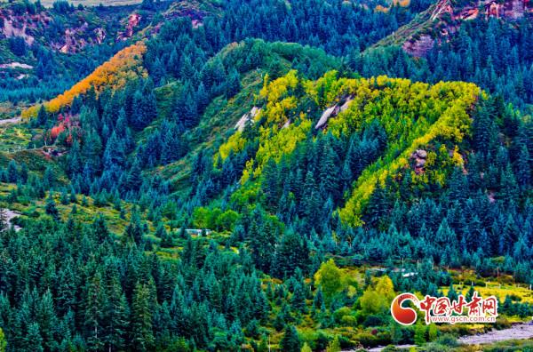 秋日祁連斑斕如畫