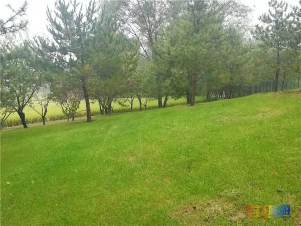 美哭了！不用去雲貴高原，在北京就能欣賞到的超美梯田，還免門票~