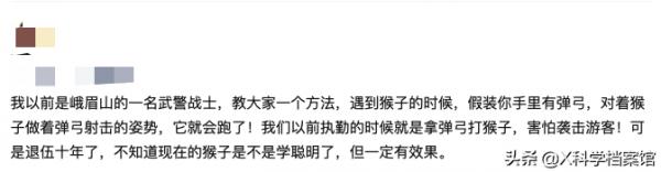 偷錢、殺人、綁架,印度猴子無惡不作,老百姓們為何拿它們沒辦法 偷錢、殺人、綁架,印度猴子無惡不作,老百姓們為何拿它們沒辦法