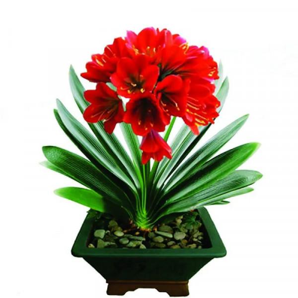 準備好過年了嗎？年味清單來啦！這些家居小物紅紅火火添喜慶