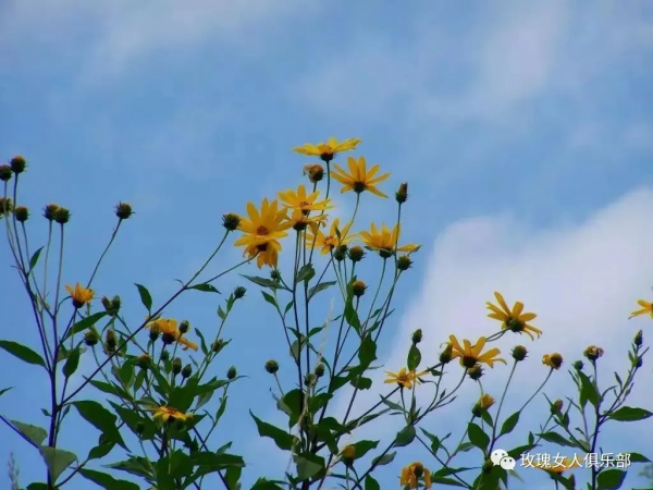 2021倒計時｜時間都去哪兒了