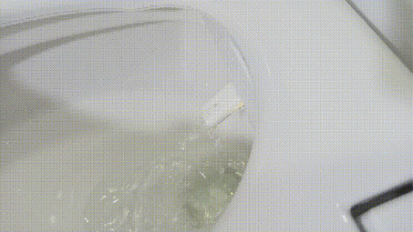 不到千元的大白超離子殺菌馬桶蓋，等離子殺菌 活水即熱 暖風烘乾