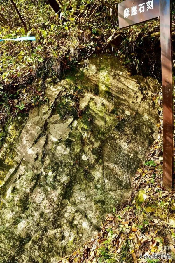 這條被譽為“浙江西南第一嶺”的紅楓古道你去過嗎？