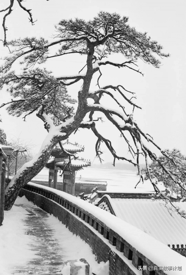 建築大師梁思成誕辰120週年：他的一生，與北京緊密相連