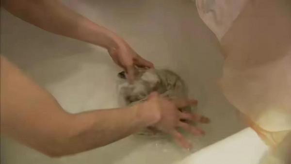 白天在寫字樓當白領，晚上在街頭撿垃圾當飯吃？網友：我不理解