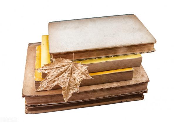 中藥之排膿 中藥之排膿