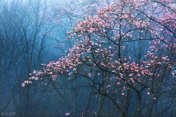 水瓶座的熱情與絕情 水瓶座的熱情與絕情