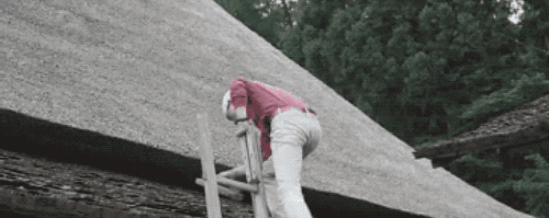 38間破茅草房竟成網紅村，每年30萬人打卡，美麗鄉村怎離得開