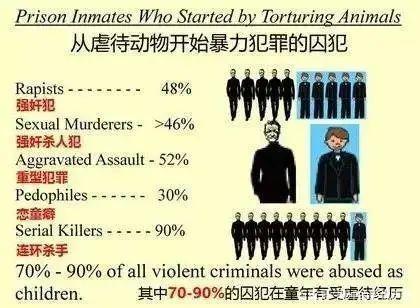 大學生虐殺80只貓事件後續：人渣，永遠都不配為人