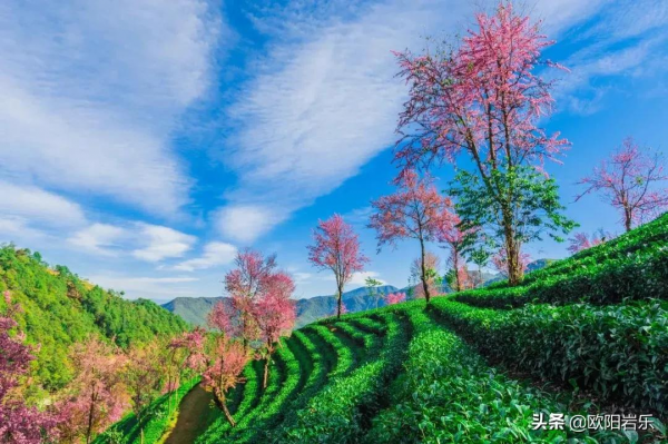 國內適合一個人去的15個地方，遠離喧囂，累了，就出去走走