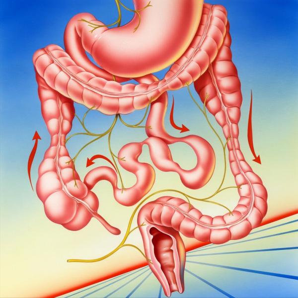 “嚇尿”了！一緊張就想上廁所？這類人要特別注意…