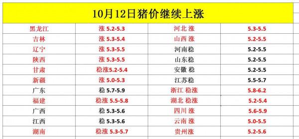 2021年10月12日豬價走勢（繼續上漲）