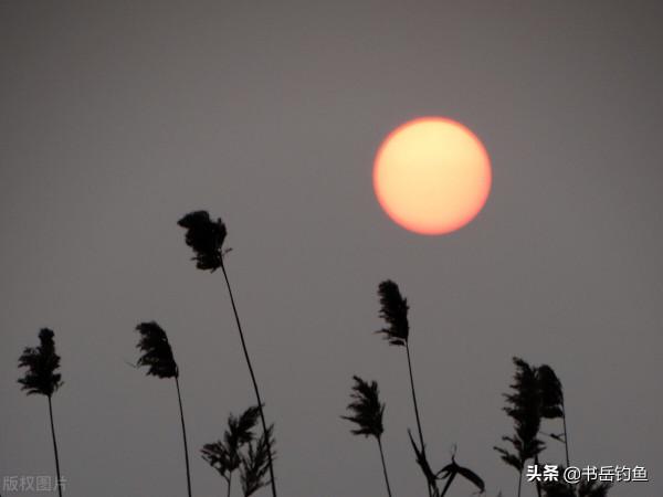 三種自然現象最好不要下竿！多數釣友被坑！老闆：今天又是好日子
