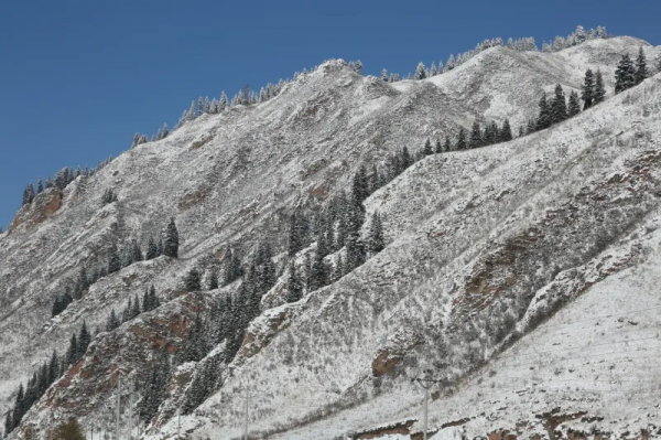 雪後走進烏孫山，陶醉在童話世界裡
