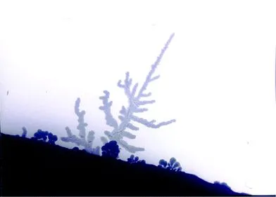 電池技術要變天？下一代鋰金屬電池，離我們到底還有多遠？