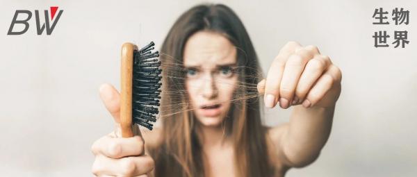 Nature重磅:少吃脂肪,能挽救你的頭髮 Nature重磅:少吃脂肪,能挽救你的頭髮