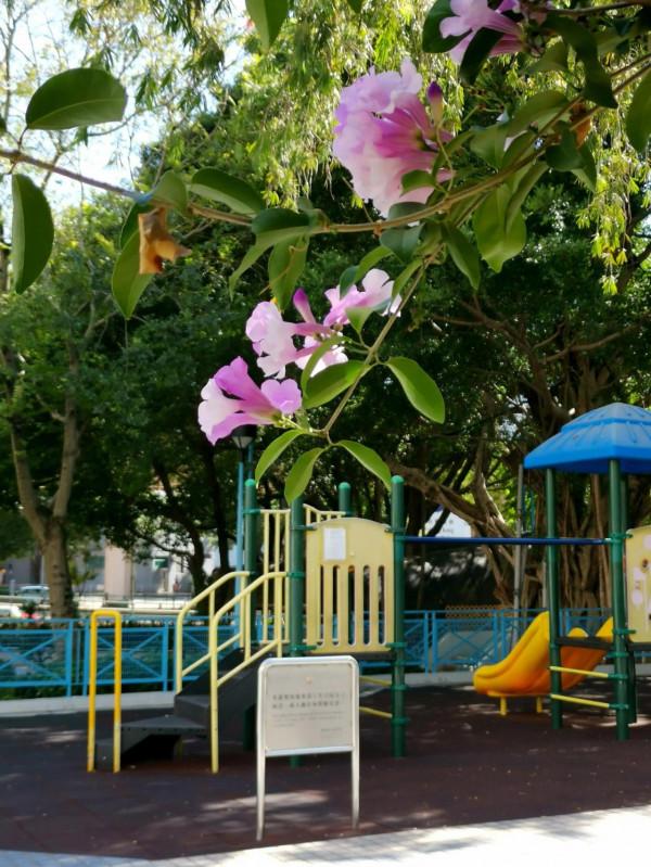 像當地人那樣，我在公園裡坐了半天