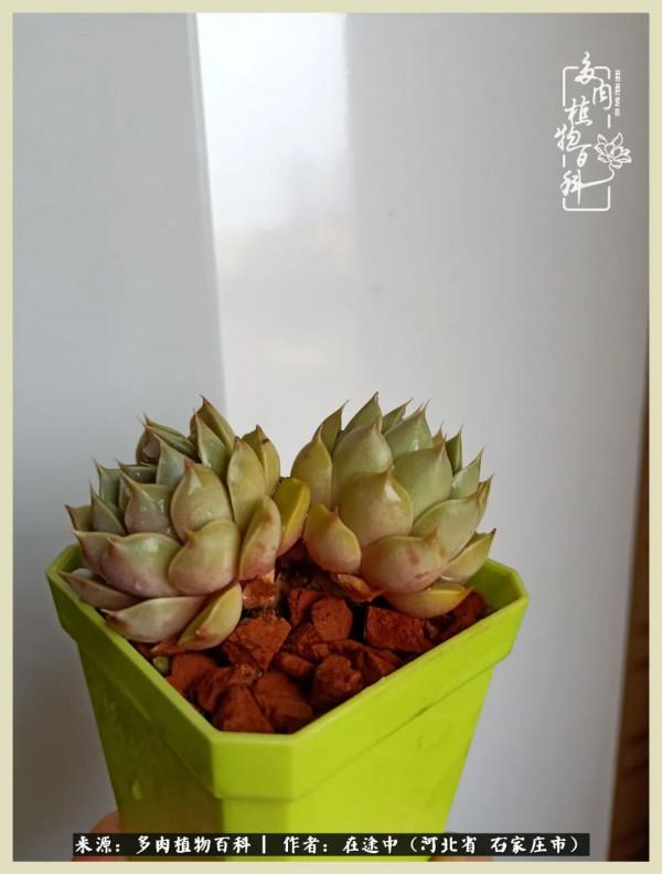 落葉知秋,願你安好 落葉知秋,願你安好