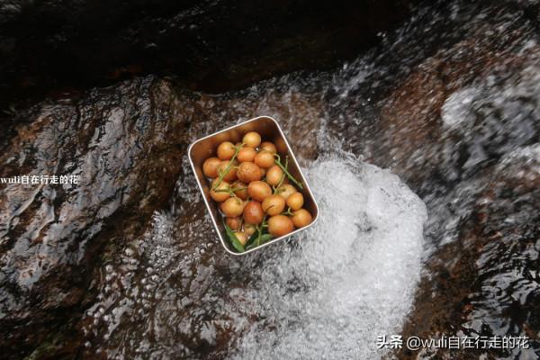 這個秋天,繼續闖蕩福州鼓山,用腳步丈量她的美 | 第63條徒步路線 這個秋天,繼續闖蕩福州鼓山,用腳步丈量她的美 | 第63條徒步路線